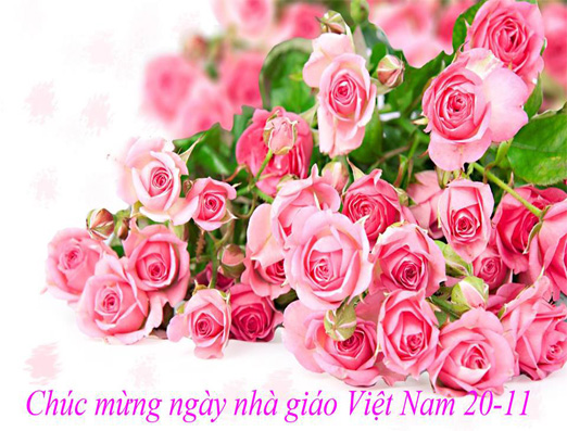 ERINA CHÚC MỪNG NGÀY NHÀ GIÁO VIỆT NAM 20/11